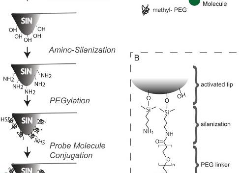 Passaggi per l’attivazione di AXS TV – axs.tv (attiva)